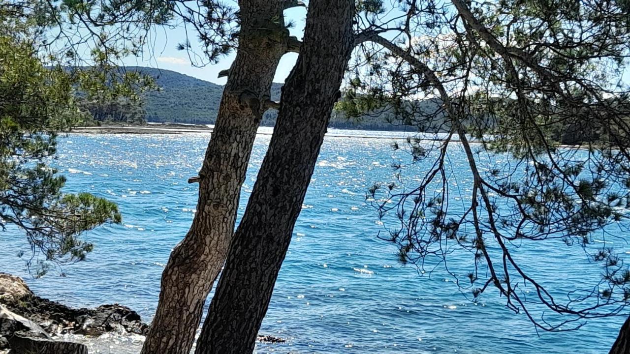 Apartment Gulin Šibenik Exteriér fotografie